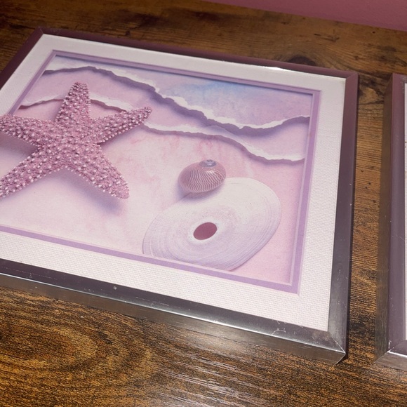 Sea Shell prints frames - Picture 6 of 12
